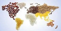 alimentazione globale