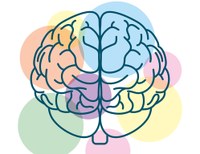 Cervello, illustrazione grafica